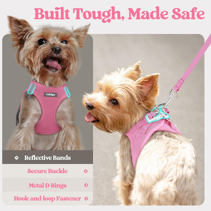 Dog Harness Small Sized and Leash Set, Step-in Puppy Pet Vest - Colors B
