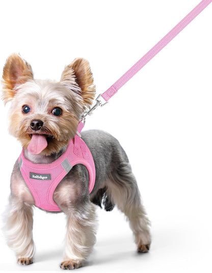 Dog Harness Small Sized and Leash Set, Step-in Puppy Pet Vest - Colors B