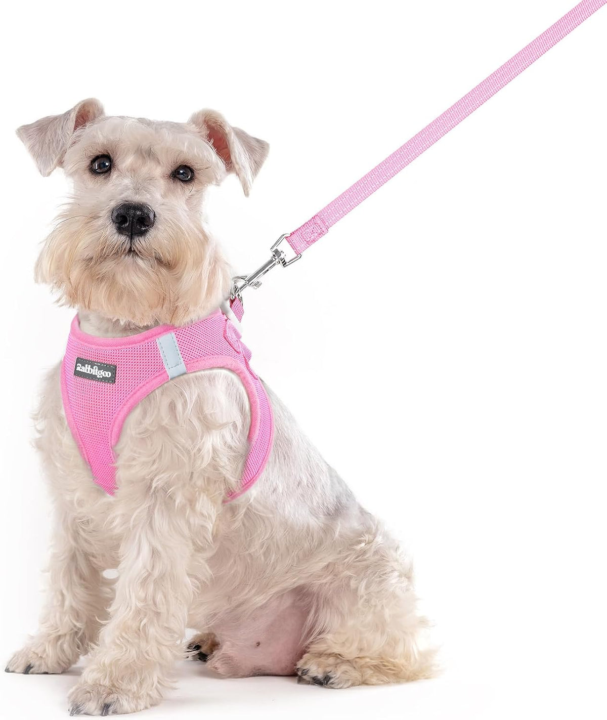 Dog Harness Small Sized and Leash Set, Step-in Puppy Pet Vest - Colors B