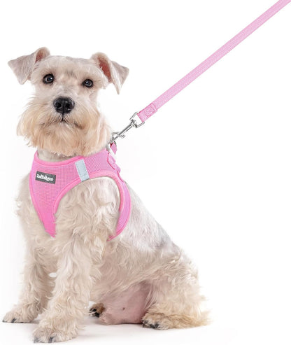 Dog Harness Small Sized and Leash Set, Step-in Puppy Pet Vest - Colors B
