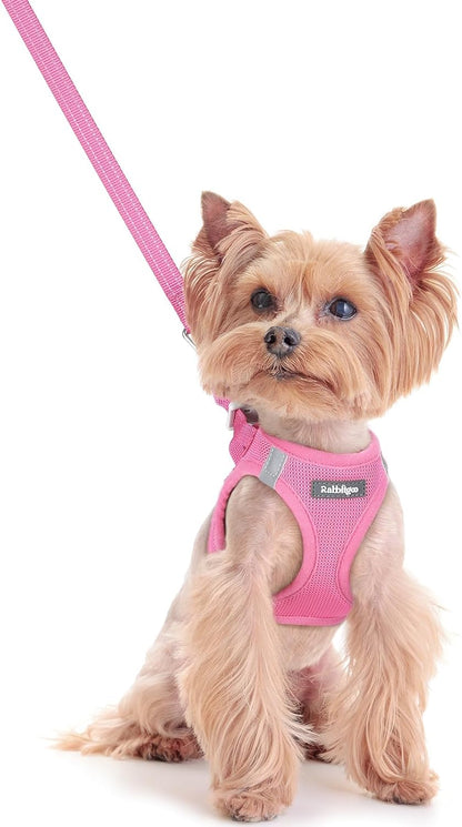 Dog Harness Small Sized and Leash Set, Step-in Puppy Pet Vest - Colors B