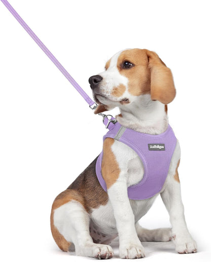 Dog Harness Small Sized and Leash Set, Step-in Puppy Pet Vest - Colors B