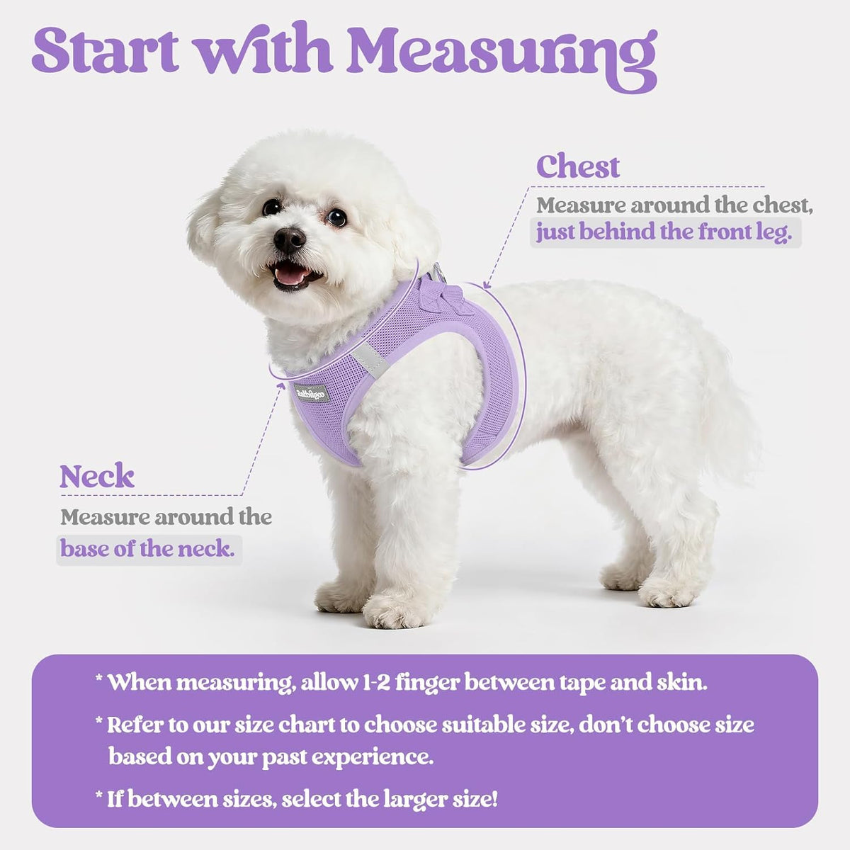 Dog Harness Small Sized and Leash Set, Step-in Puppy Pet Vest - Colors B