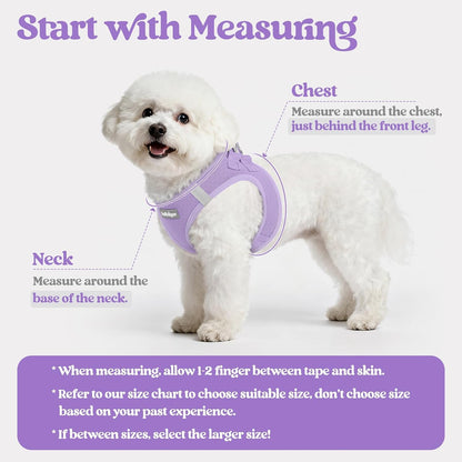 Dog Harness Small Sized and Leash Set, Step-in Puppy Pet Vest - Colors B