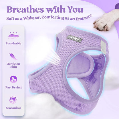Dog Harness Small Sized and Leash Set, Step-in Puppy Pet Vest - Colors B