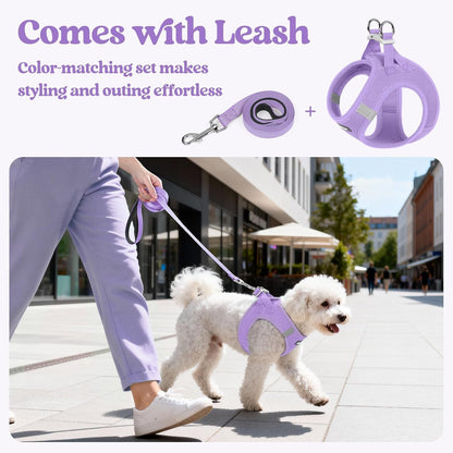 Dog Harness Small Sized and Leash Set, Step-in Puppy Pet Vest - Colors B