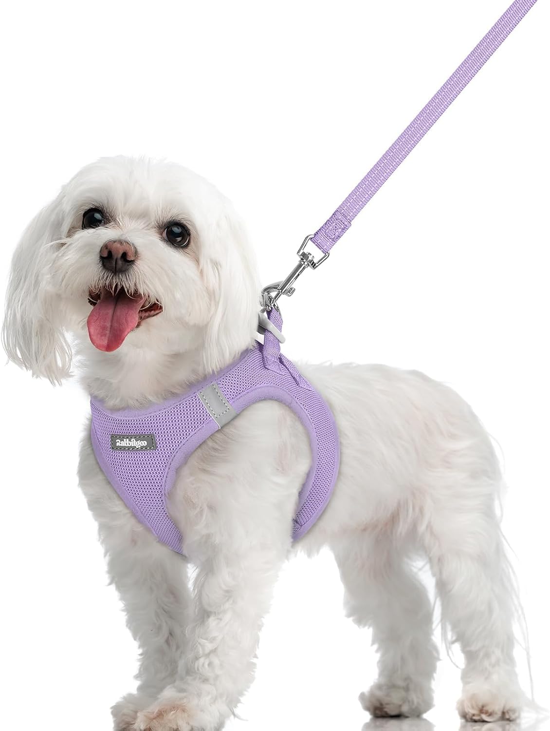 Dog Harness Small Sized and Leash Set, Step-in Puppy Pet Vest - Colors B