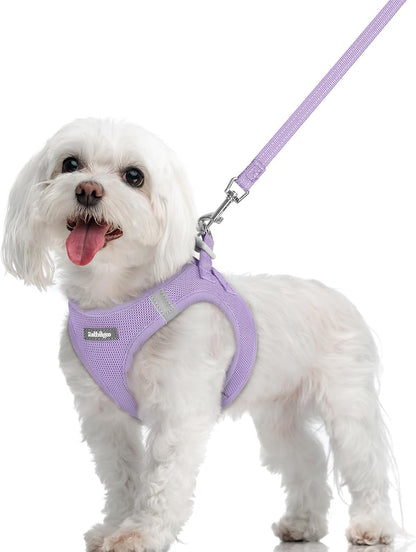 Dog Harness Small Sized and Leash Set, Step-in Puppy Pet Vest - Colors B