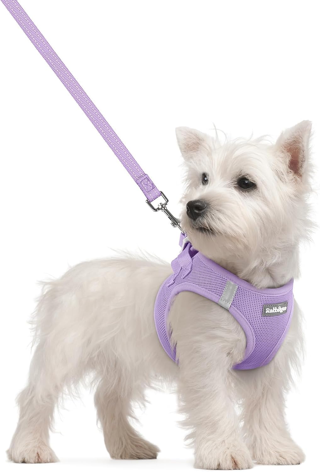 Dog Harness Small Sized and Leash Set, Step-in Puppy Pet Vest - Colors B