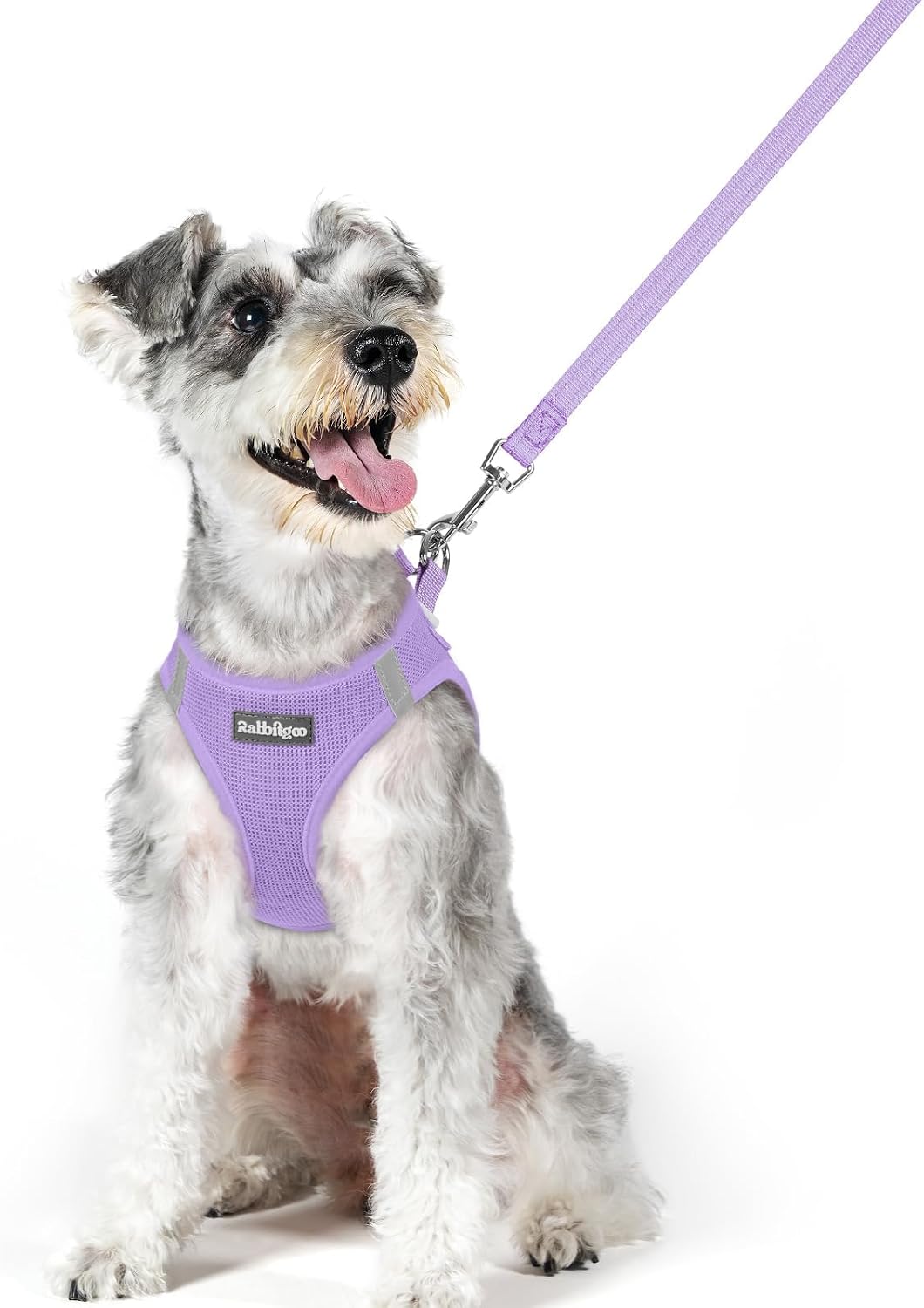Dog Harness Small Sized and Leash Set, Step-in Puppy Pet Vest - Colors B