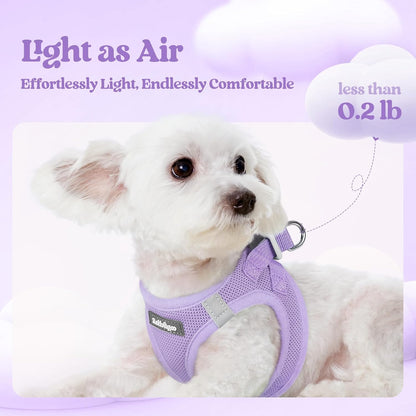 Dog Harness Small Sized and Leash Set, Step-in Puppy Pet Vest - Colors B