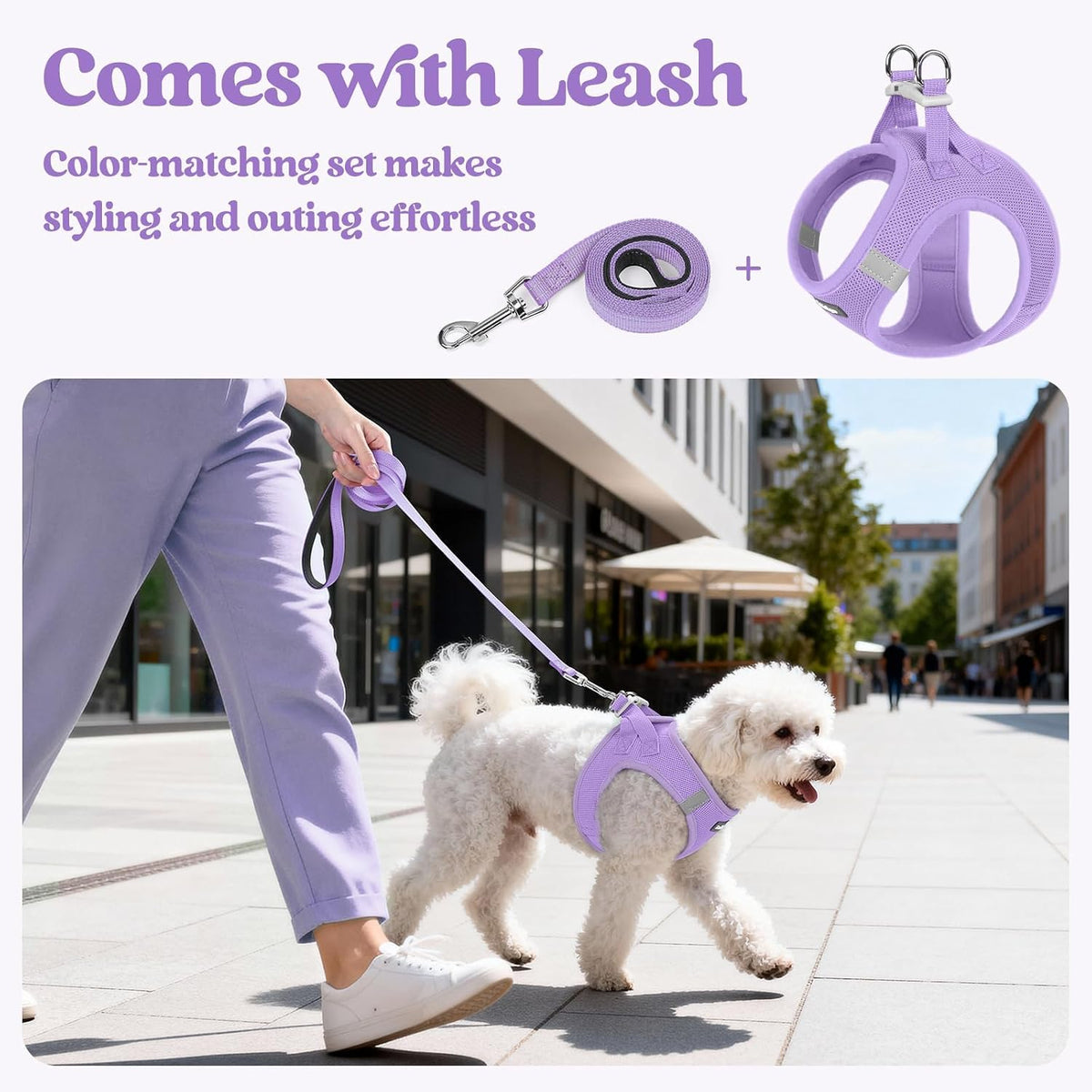 Dog Harness Small Sized and Leash Set, Step-in Puppy Pet Vest - Colors B