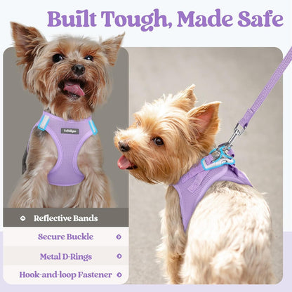 Dog Harness Small Sized and Leash Set, Step-in Puppy Pet Vest - Colors B