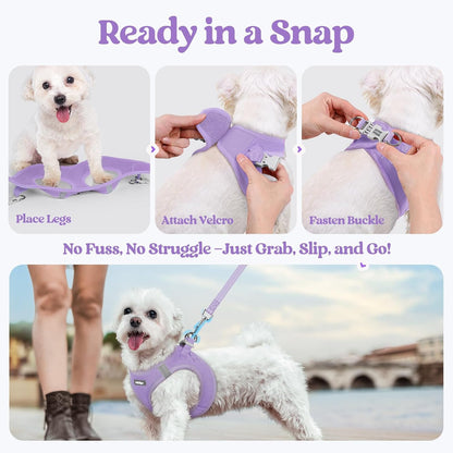 Dog Harness Small Sized and Leash Set, Step-in Puppy Pet Vest - Colors B