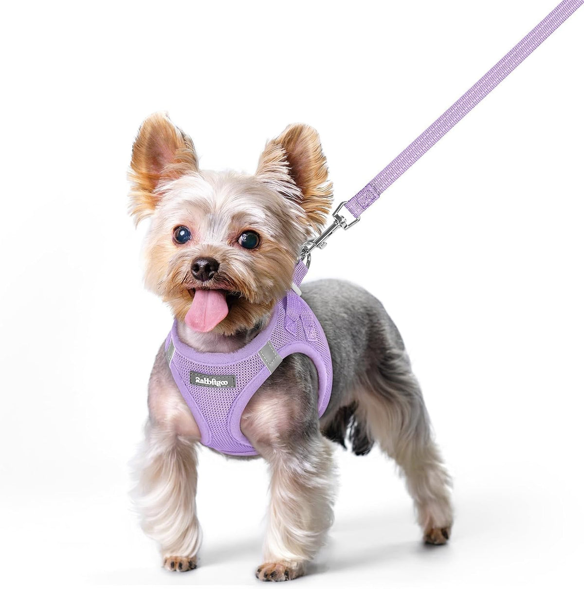 Dog Harness Small Sized and Leash Set, Step-in Puppy Pet Vest - Colors B