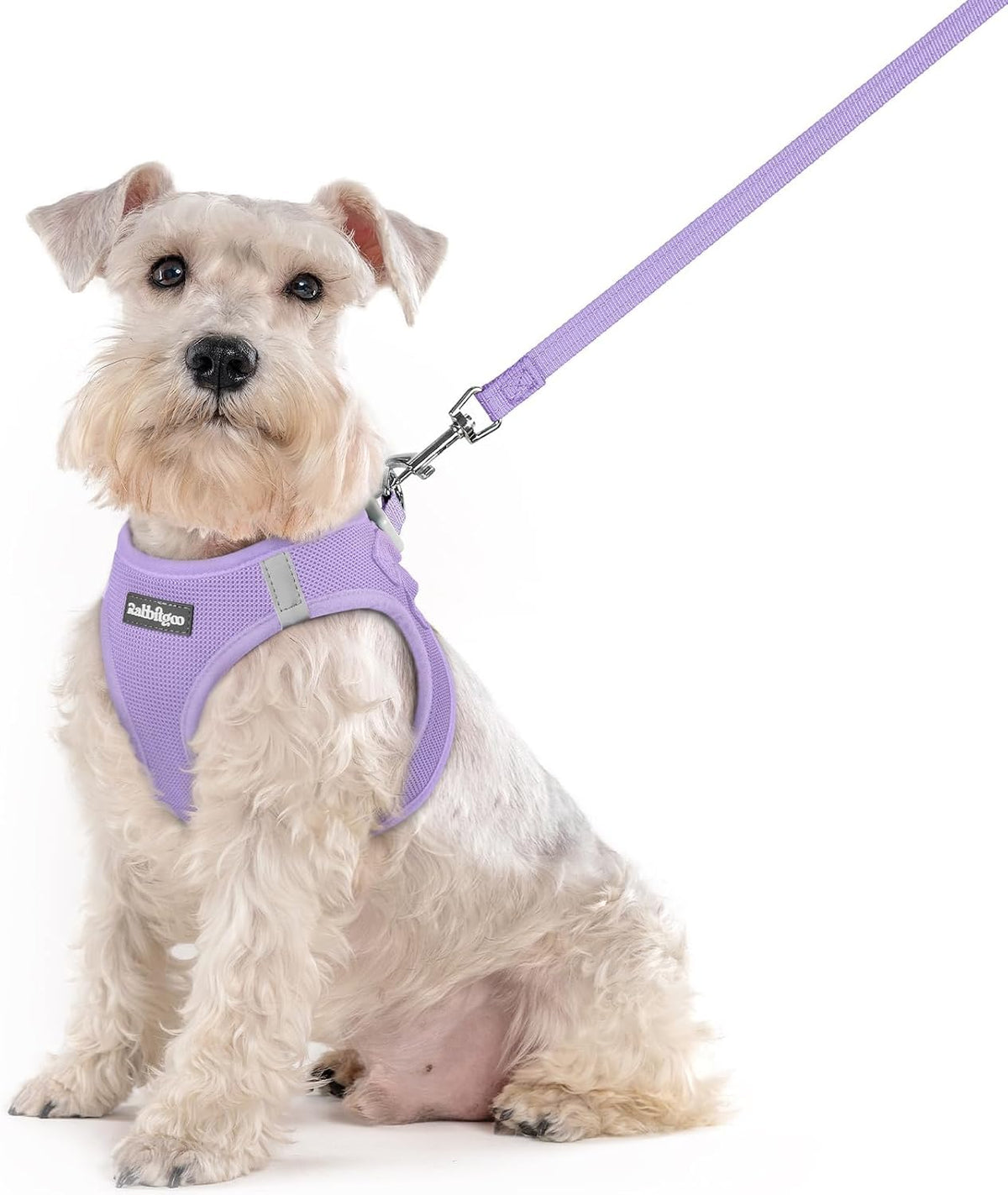 Dog Harness Small Sized and Leash Set, Step-in Puppy Pet Vest - Colors B