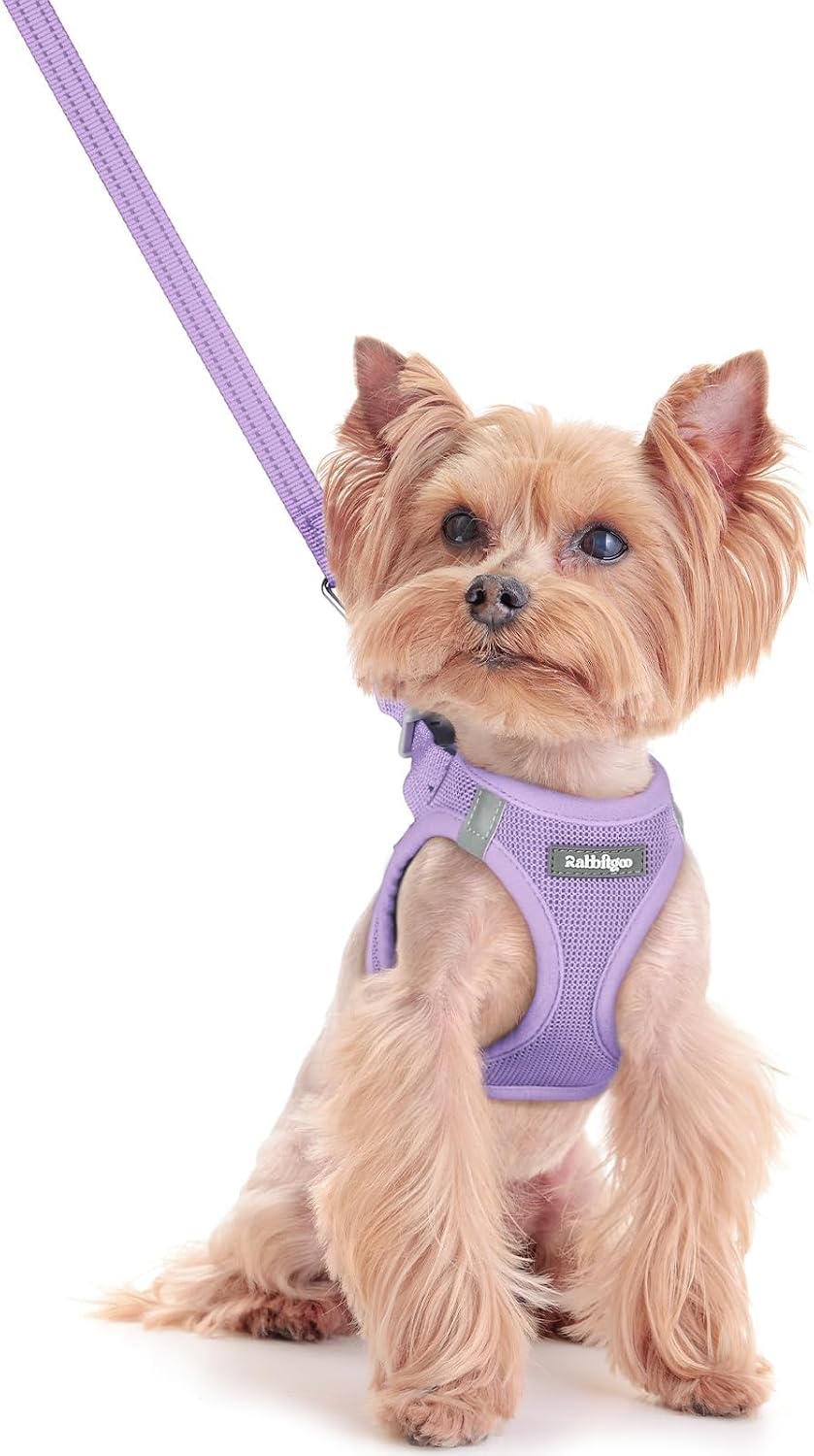 Dog Harness Small Sized and Leash Set, Step-in Puppy Pet Vest - Colors B