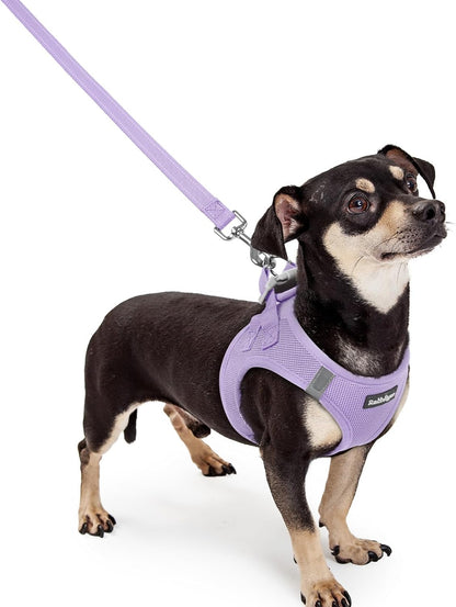 Dog Harness Small Sized and Leash Set, Step-in Puppy Pet Vest - Colors B