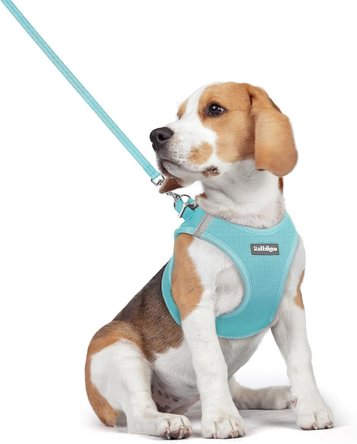 Dog Harness Small Sized and Leash Set, Step-in Puppy Pet Vest - Colors B