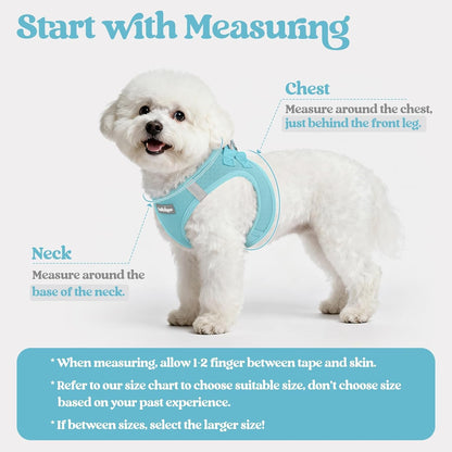 Dog Harness Small Sized and Leash Set, Step-in Puppy Pet Vest - Colors B
