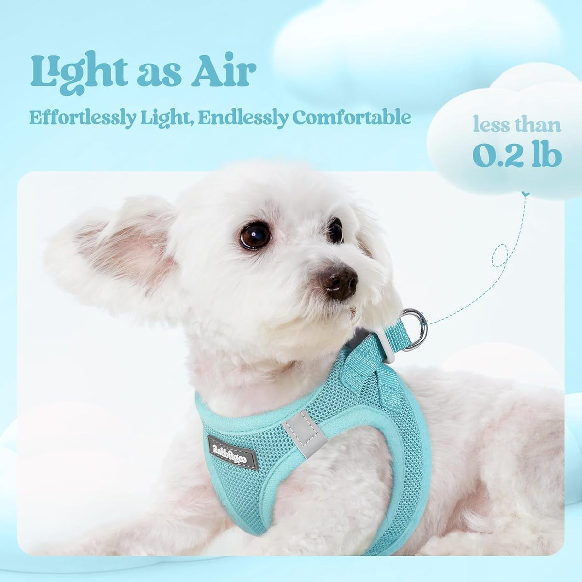 Dog Harness Small Sized and Leash Set, Step-in Puppy Pet Vest - Colors B