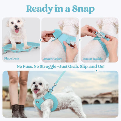 Dog Harness Small Sized and Leash Set, Step-in Puppy Pet Vest - Colors B