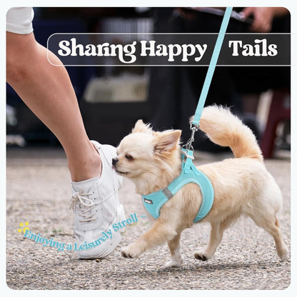 Dog Harness Small Sized and Leash Set, Step-in Puppy Pet Vest - Colors B