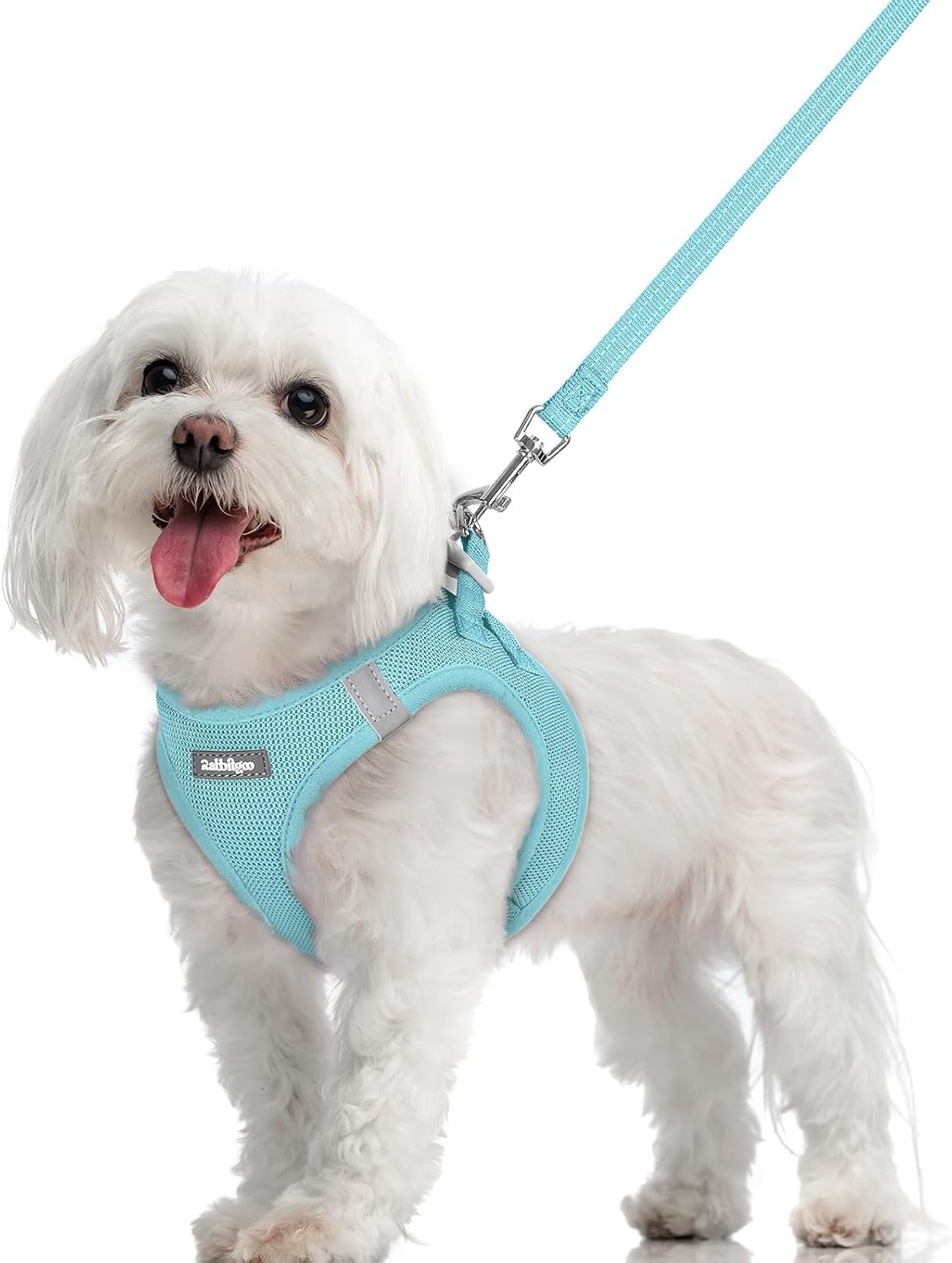 Dog Harness Small Sized and Leash Set, Step-in Puppy Pet Vest - Colors B