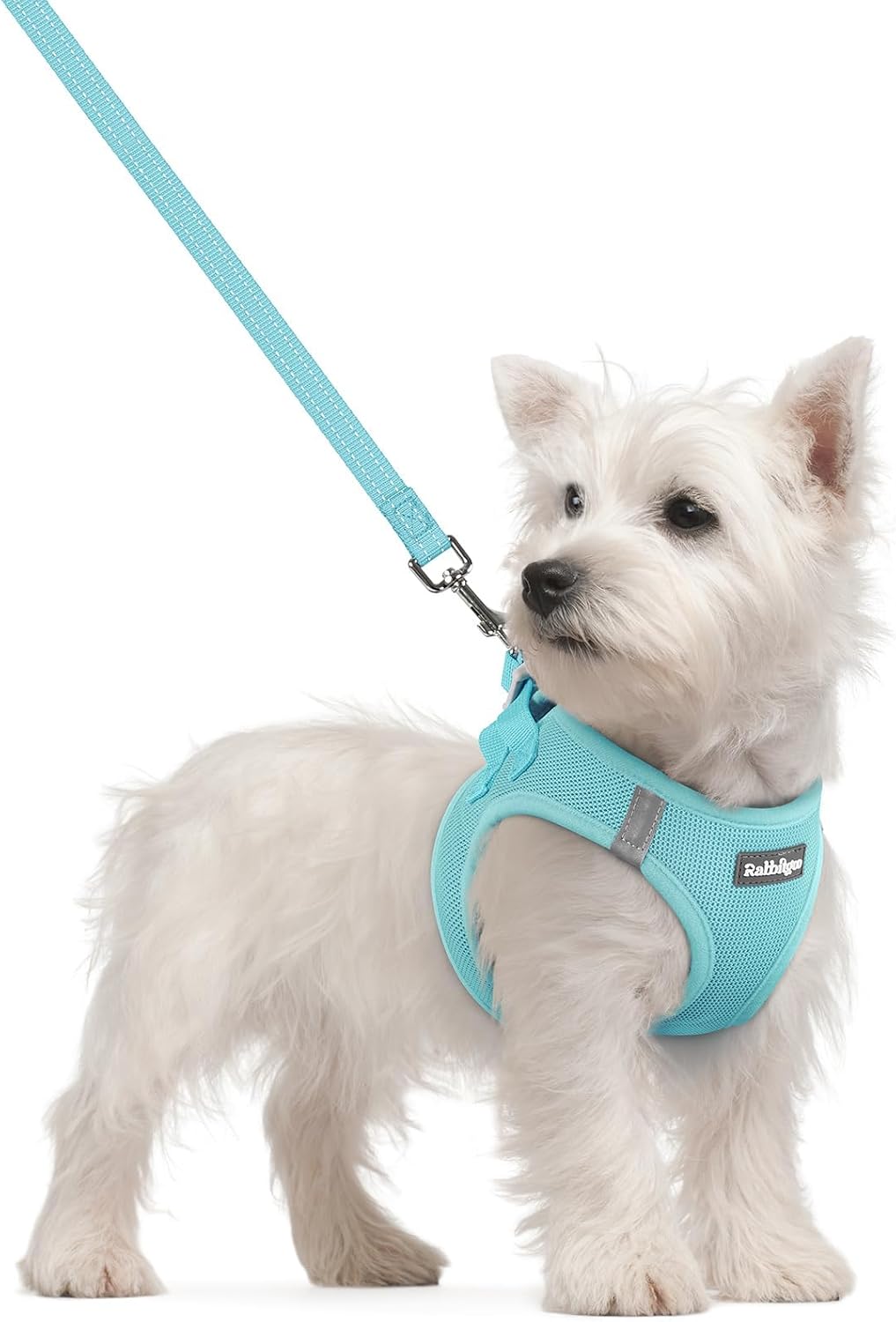 Dog Harness Small Sized and Leash Set, Step-in Puppy Pet Vest - Colors B