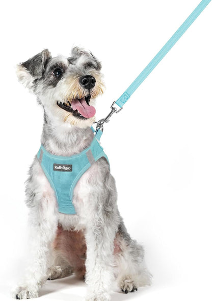 Dog Harness Small Sized and Leash Set, Step-in Puppy Pet Vest - Colors B