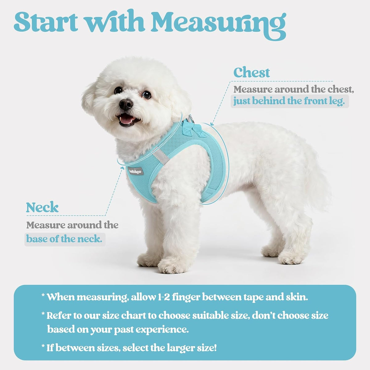 Dog Harness Small Sized and Leash Set, Step-in Puppy Pet Vest - Colors B