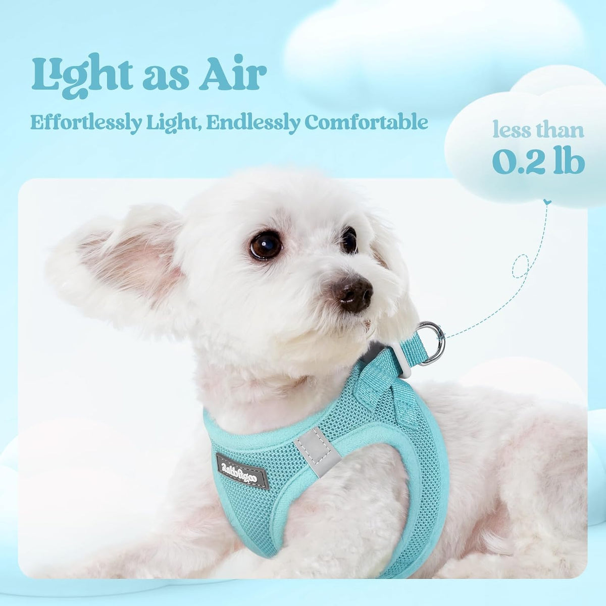 Dog Harness Small Sized and Leash Set, Step-in Puppy Pet Vest - Colors B