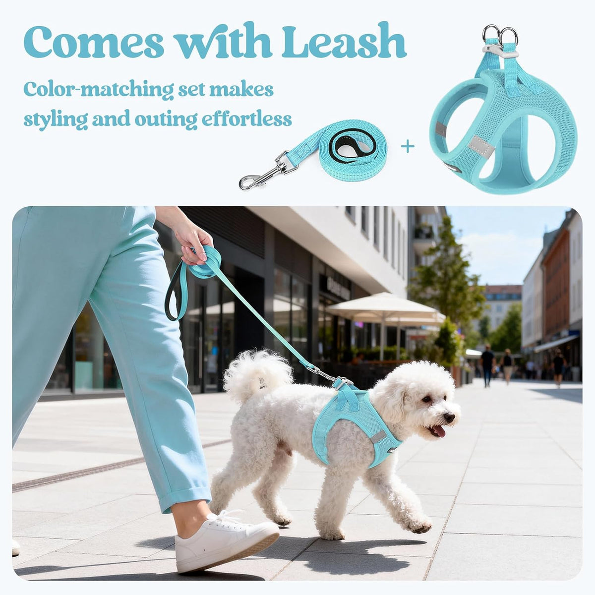 Dog Harness Small Sized and Leash Set, Step-in Puppy Pet Vest - Colors B