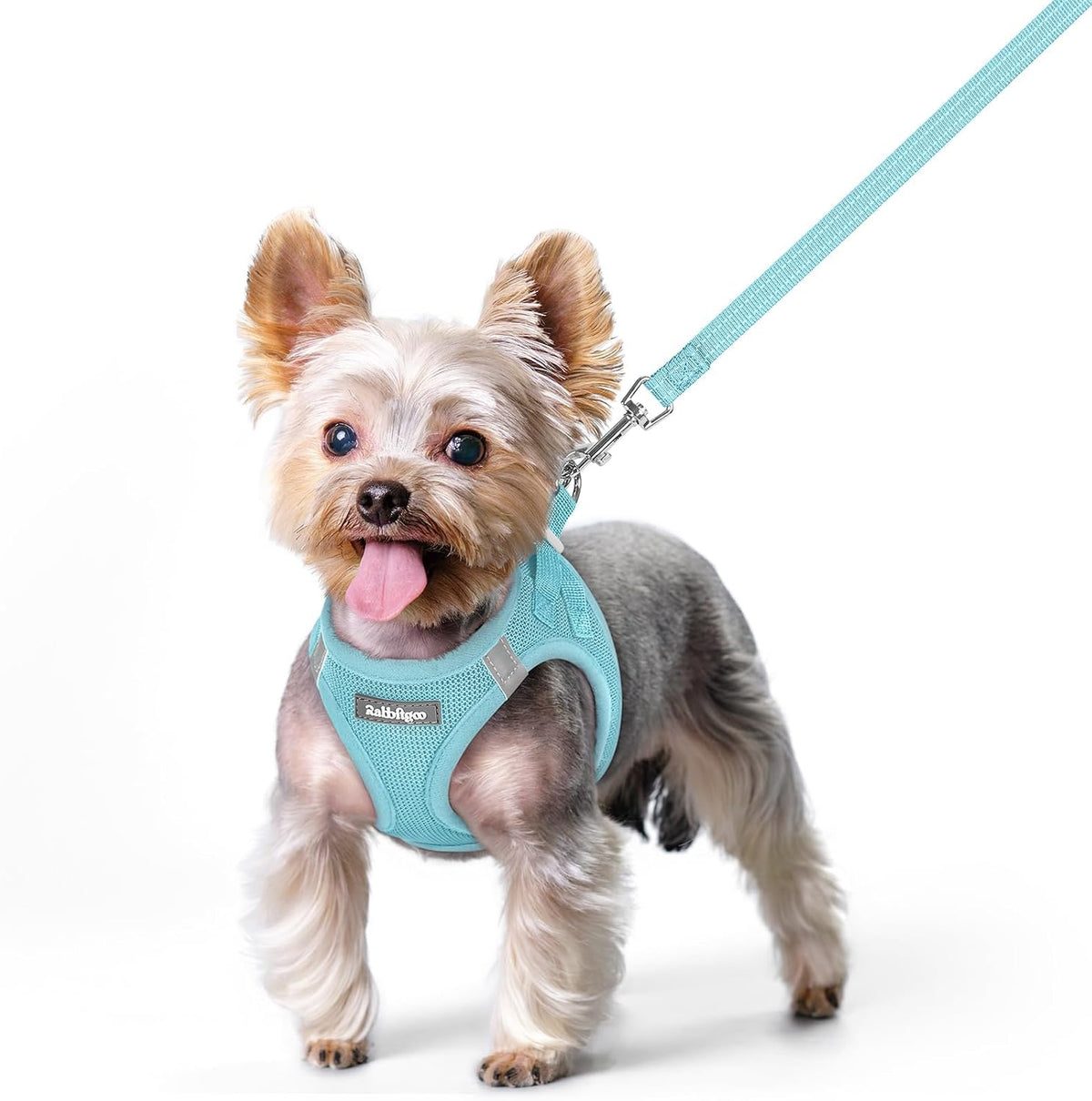 Dog Harness Small Sized and Leash Set, Step-in Puppy Pet Vest - Colors B
