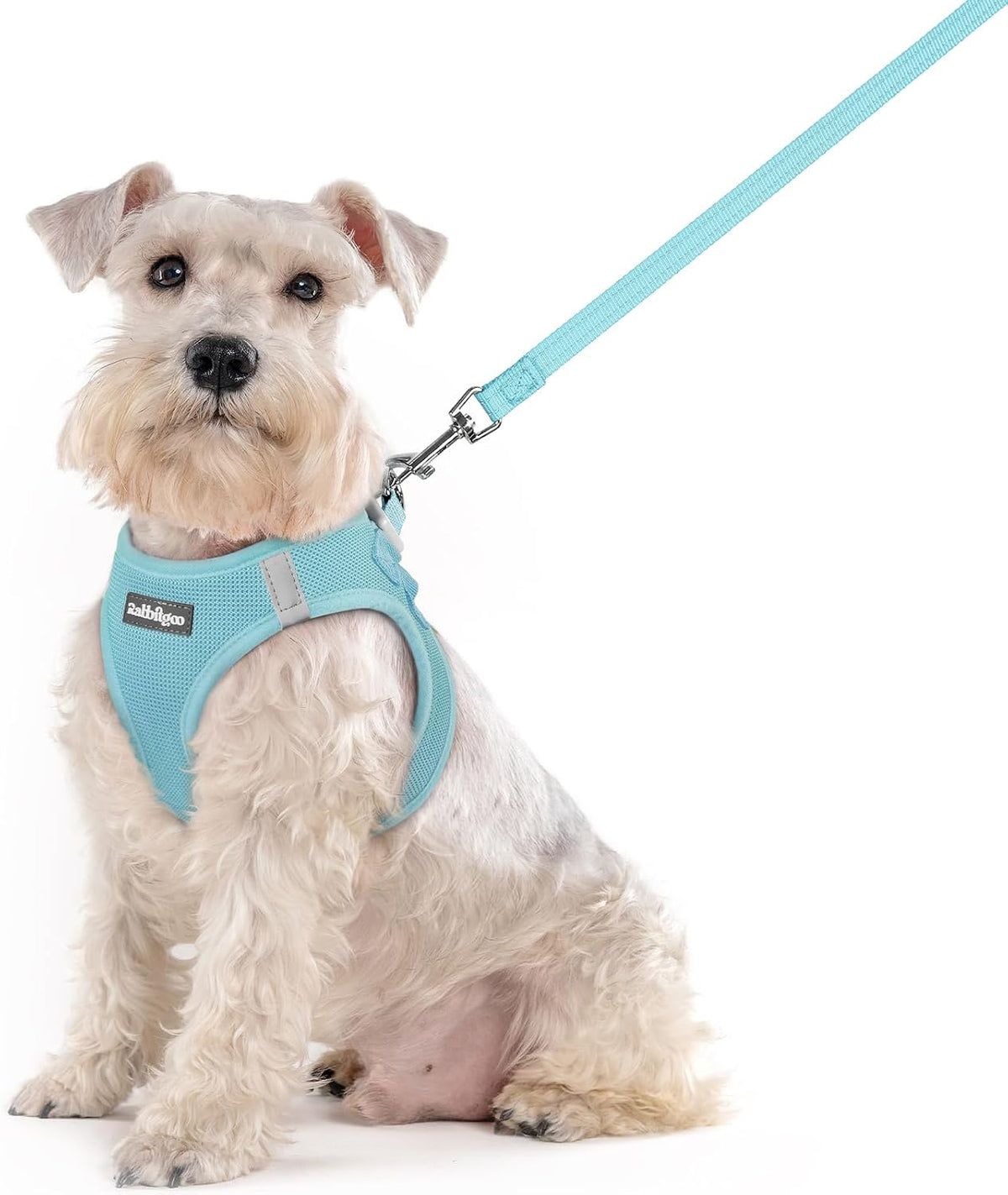 Dog Harness Small Sized and Leash Set, Step-in Puppy Pet Vest - Colors B
