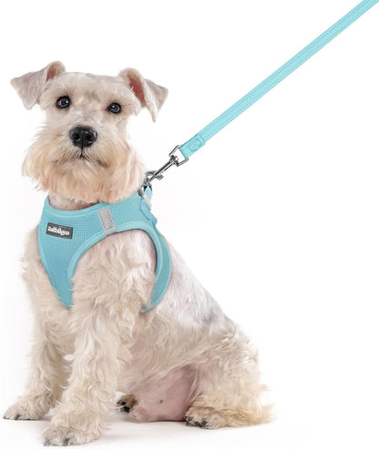 Dog Harness Small Sized and Leash Set, Step-in Puppy Pet Vest - Colors B