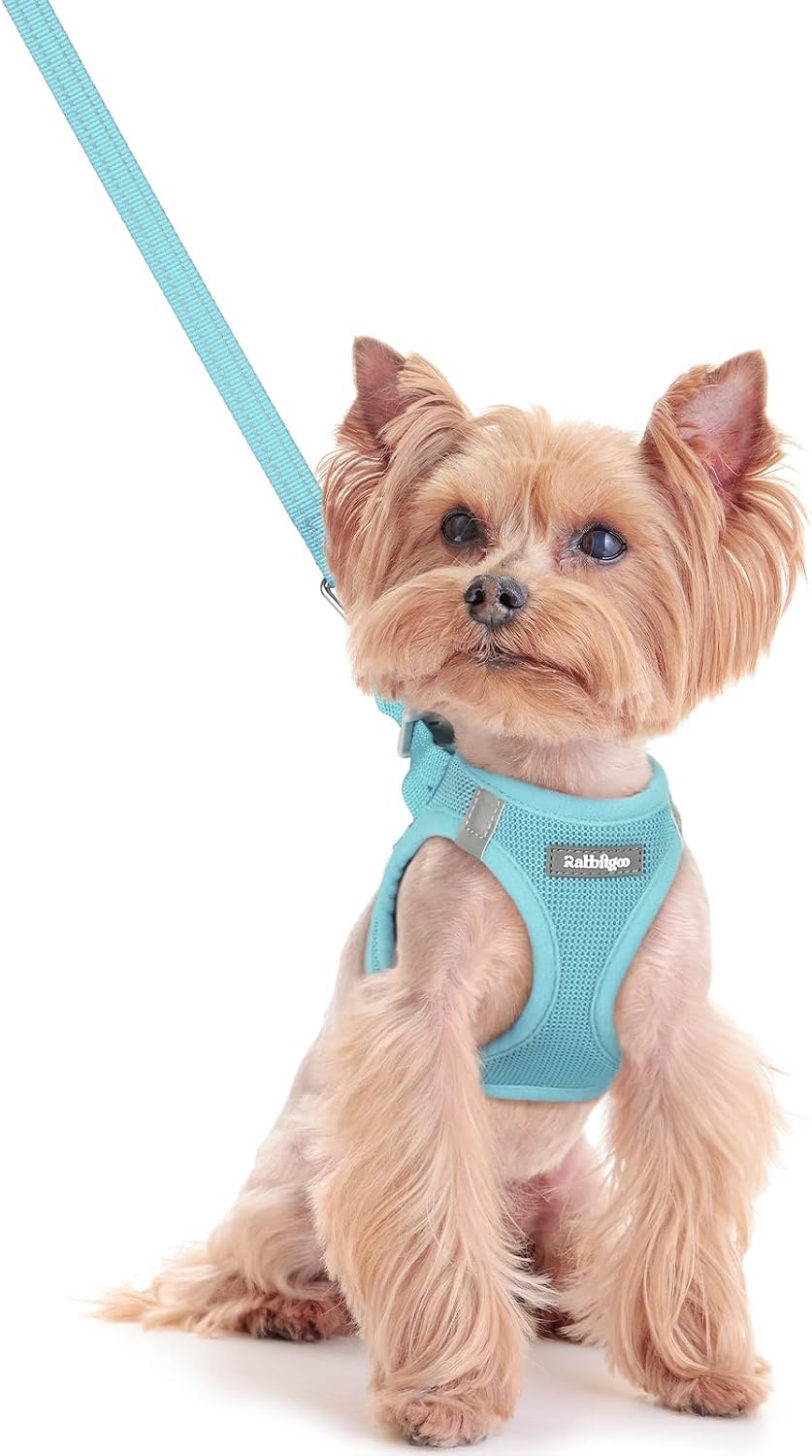 Dog Harness Small Sized and Leash Set, Step-in Puppy Pet Vest - Colors B