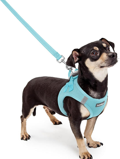 Dog Harness Small Sized and Leash Set, Step-in Puppy Pet Vest - Colors B