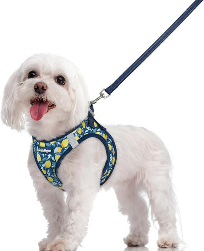 Dog Harness Small Sized and Leash Set, Step-in Puppy Pet Vest - Colors B