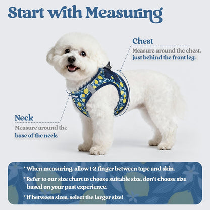 Dog Harness Small Sized and Leash Set, Step-in Puppy Pet Vest - Colors B