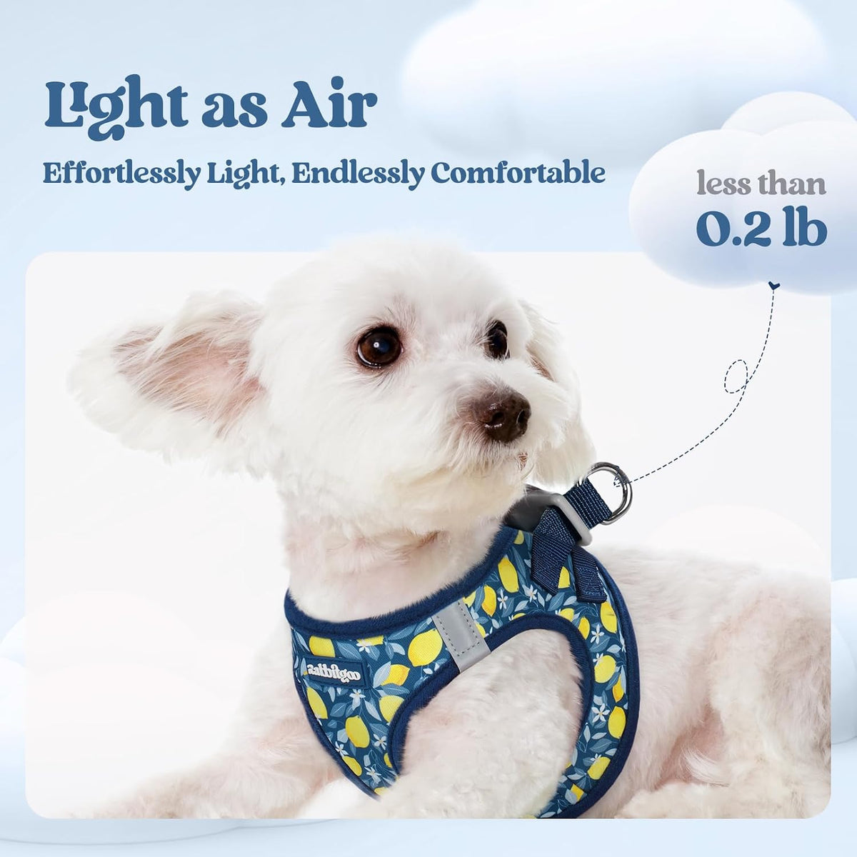 Dog Harness Small Sized and Leash Set, Step-in Puppy Pet Vest - Colors B