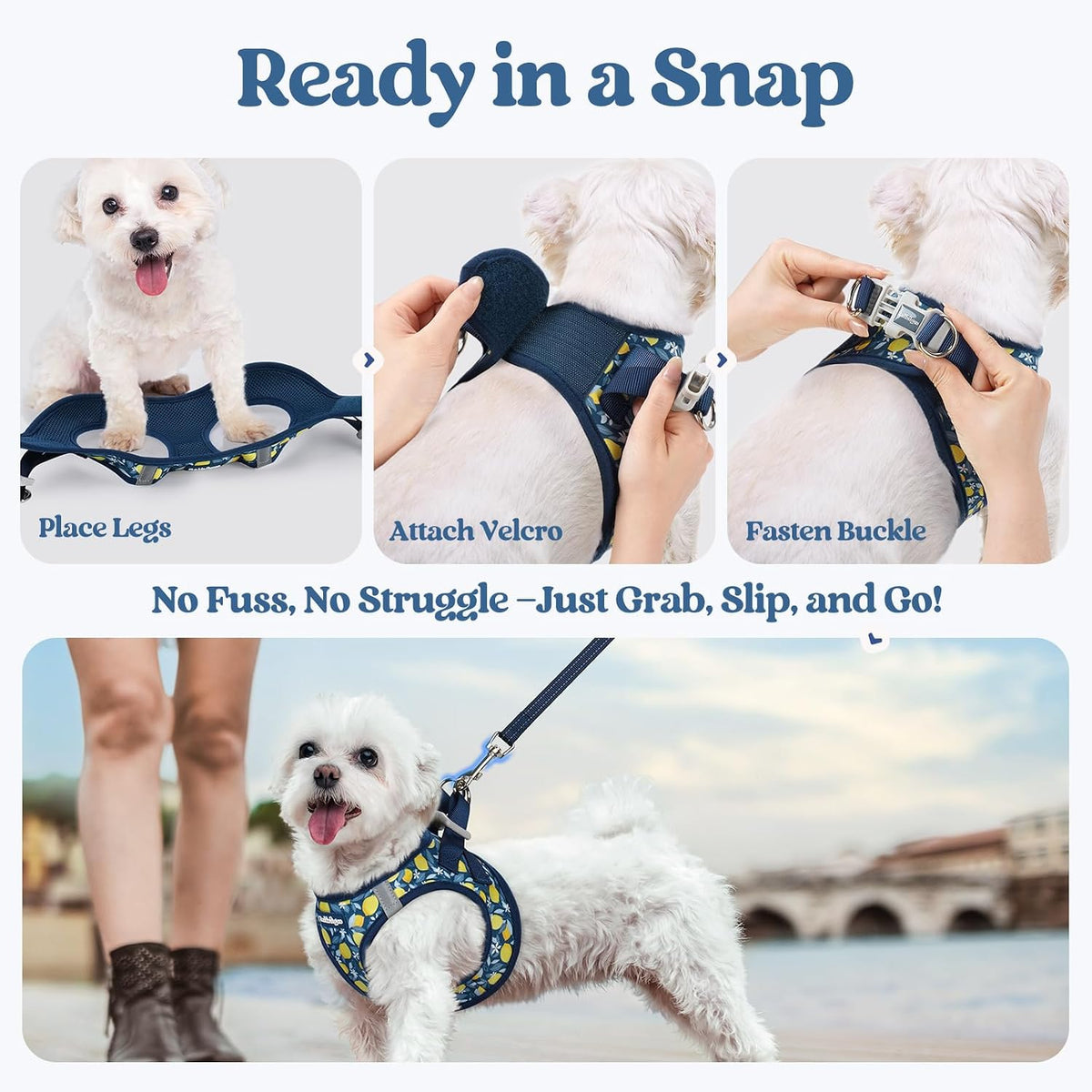 Dog Harness Small Sized and Leash Set, Step-in Puppy Pet Vest - Colors B
