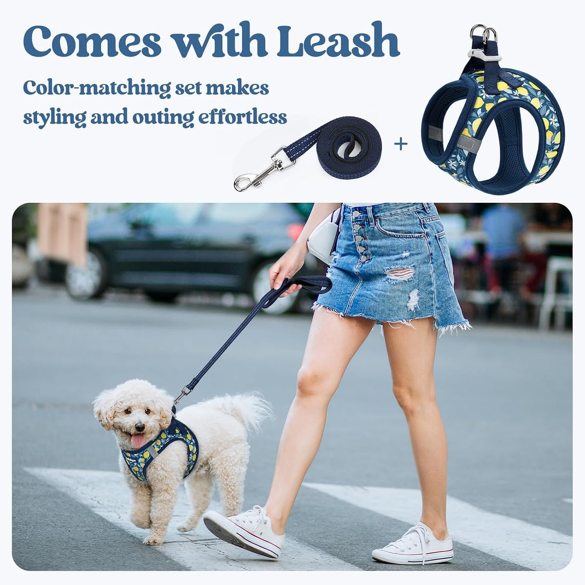 Dog Harness Small Sized and Leash Set, Step-in Puppy Pet Vest - Colors B