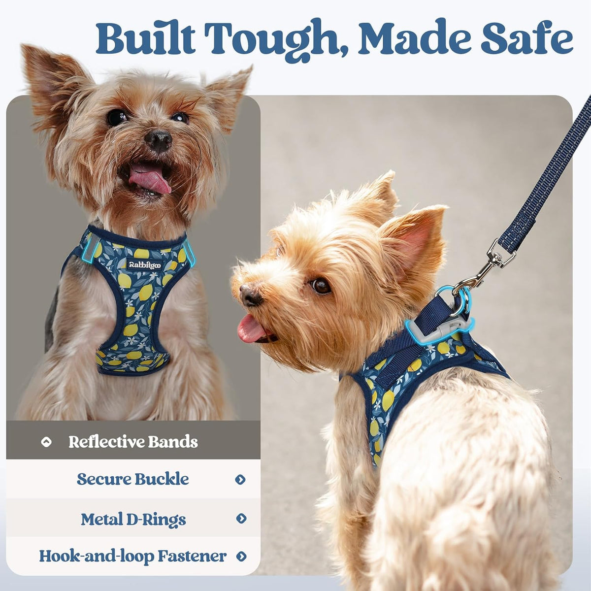 Dog Harness Small Sized and Leash Set, Step-in Puppy Pet Vest - Colors B