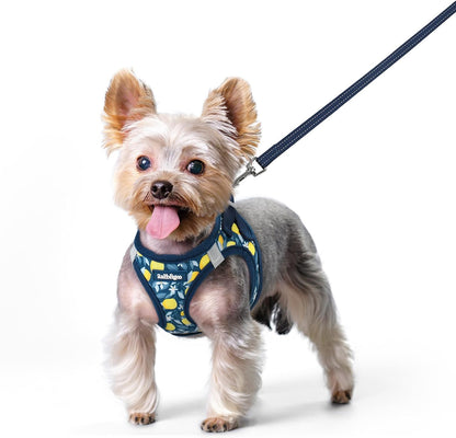 Dog Harness Small Sized and Leash Set, Step-in Puppy Pet Vest - Colors B