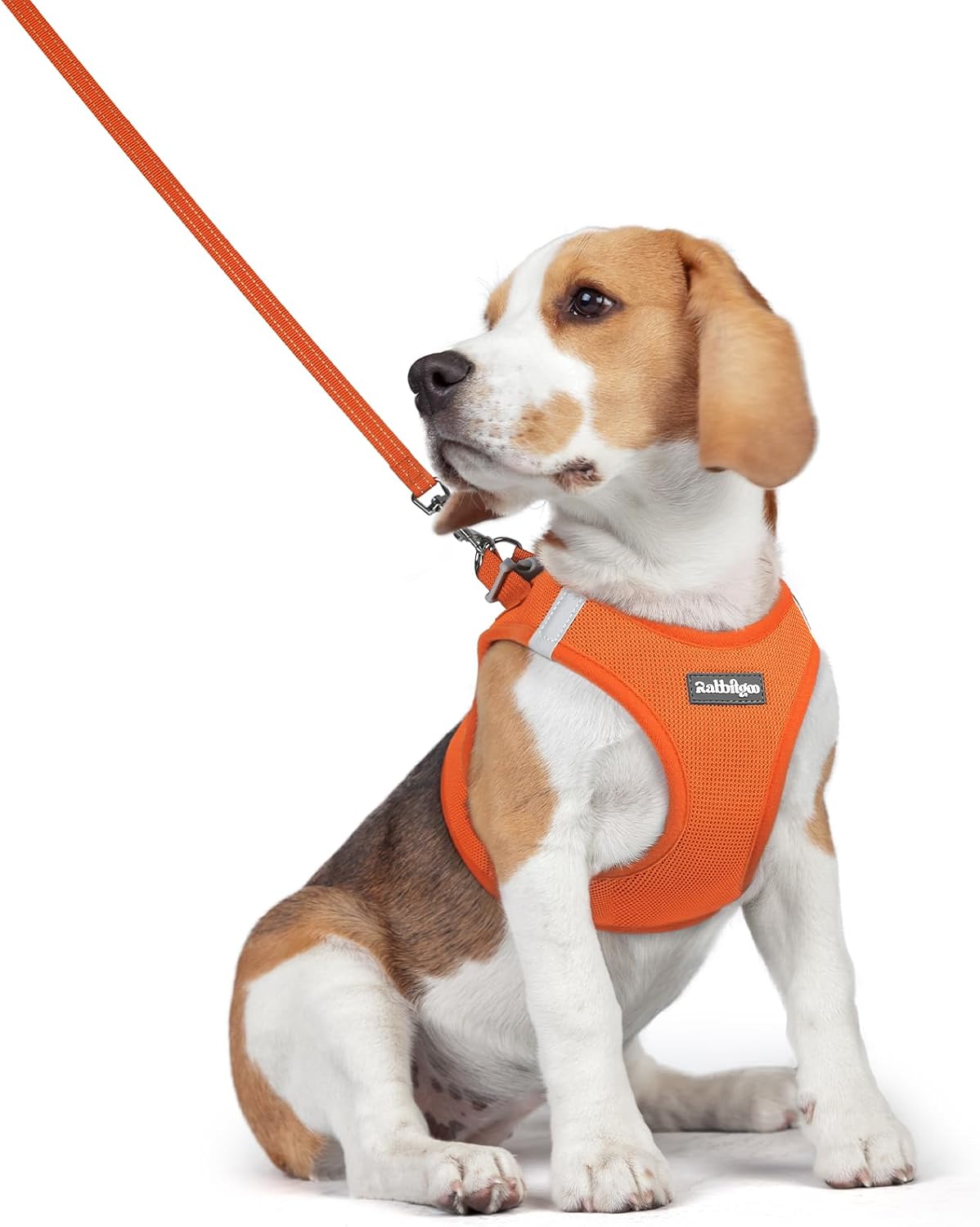 Dog Harness Small Sized and Leash Set, Step-in Puppy Pet Vest - Colors B