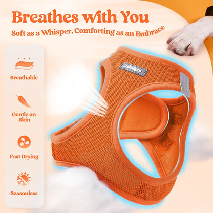 Dog Harness Small Sized and Leash Set, Step-in Puppy Pet Vest - Colors B