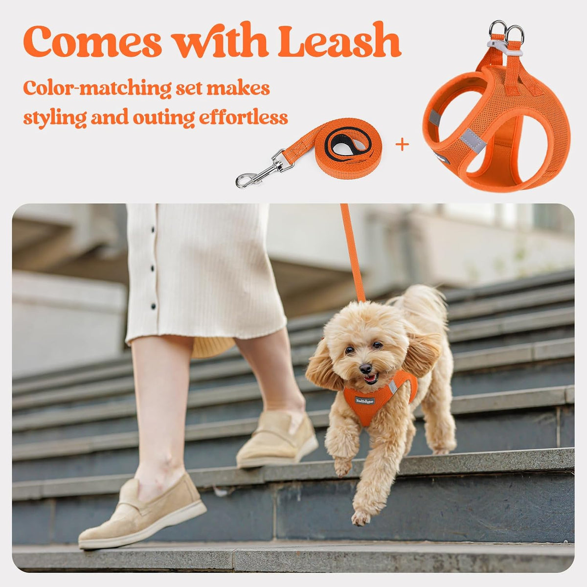 Dog Harness Small Sized and Leash Set, Step-in Puppy Pet Vest - Colors B