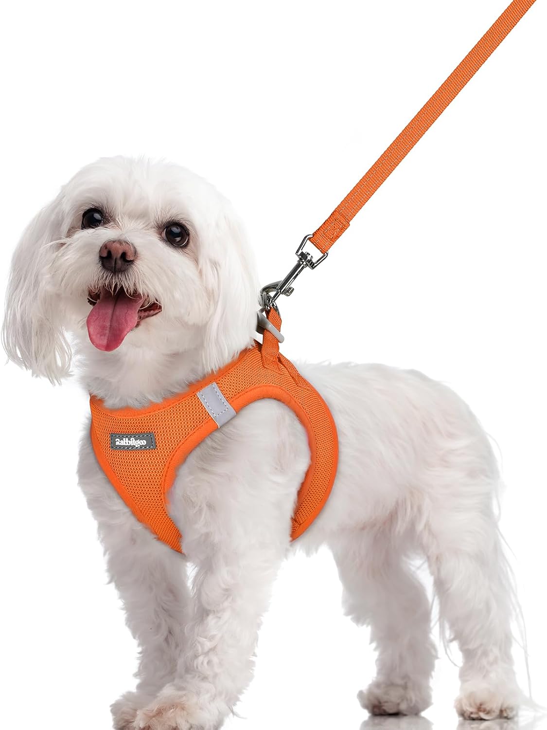 Dog Harness Small Sized and Leash Set, Step-in Puppy Pet Vest - Colors B