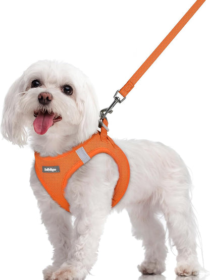 Dog Harness Small Sized and Leash Set, Step-in Puppy Pet Vest - Colors B